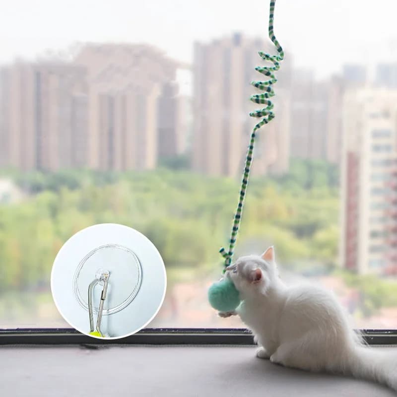 Bored Indoor Cat? How to Keep a House Cat Active and Happy