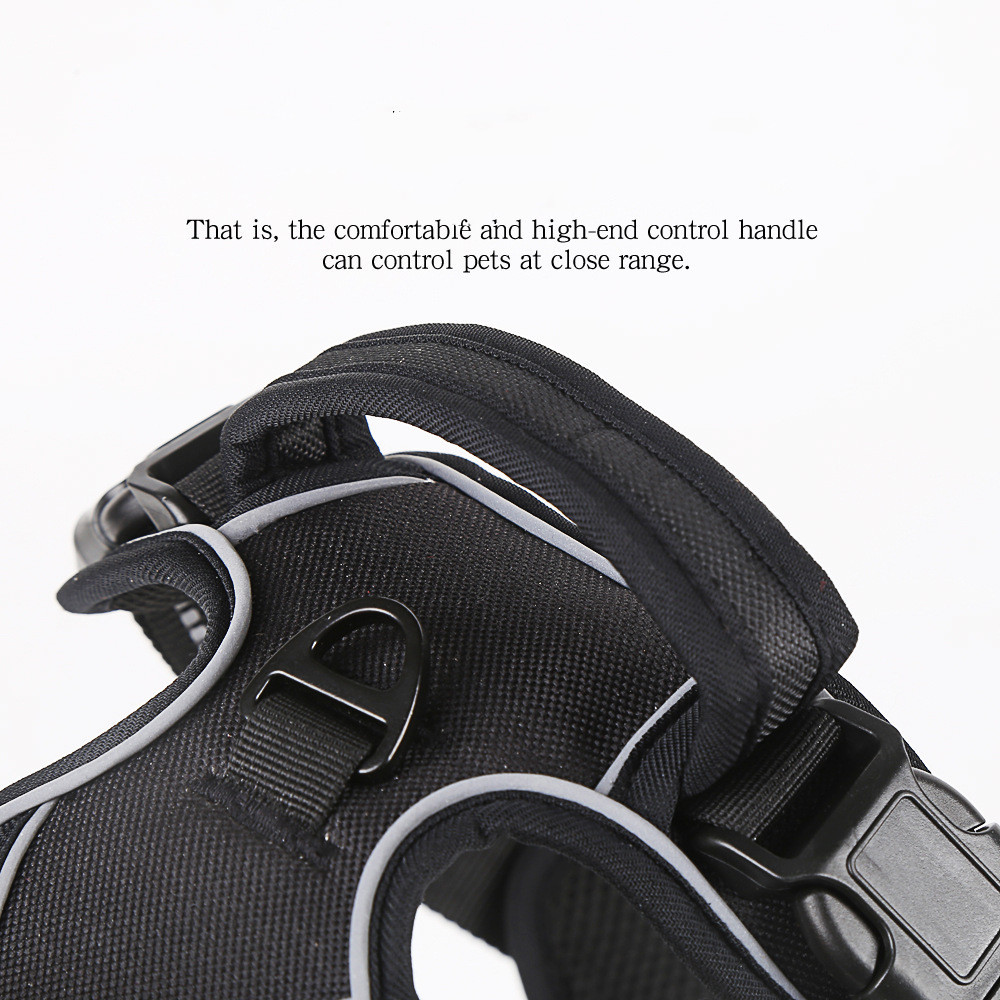 Premium No-Pull Adjustable Dog Harness - Image 10